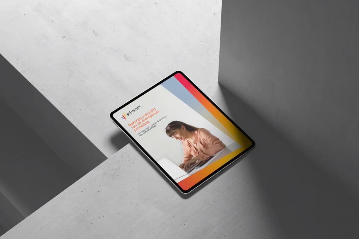 e-book herstructurering