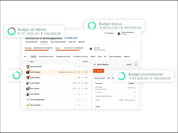 Merit budget management